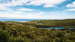 Western Australia: Destinasi Wisata, Pendidikan, dan Investasi